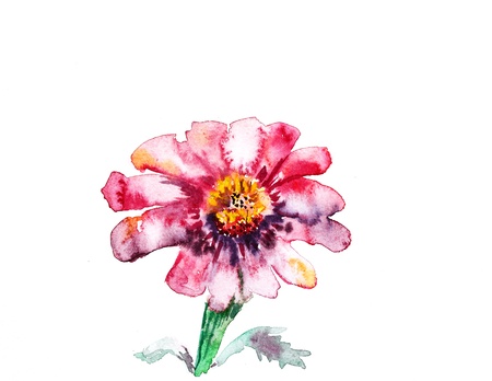 watercolor painting of flowerの写真素材
