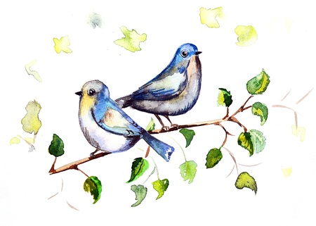 watercolor drawing birdsの写真素材