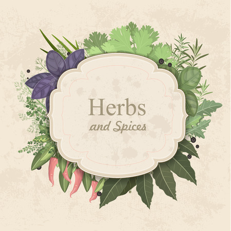Vintage card with herbs and spices on paperのイラスト素材