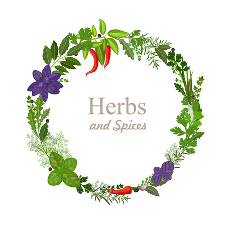 wreath of herbs and spices on a white backgroundのイラスト素材