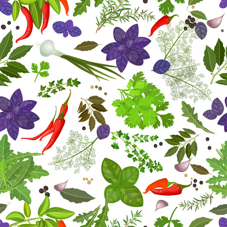 seamless texture of herbs and spicesのイラスト素材