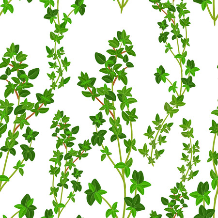 seamless texture of thyme
のイラスト素材