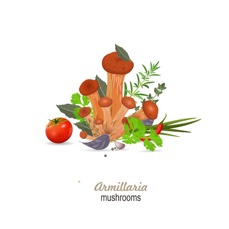 mushrooms armillaria with herbs for your designのイラスト素材
