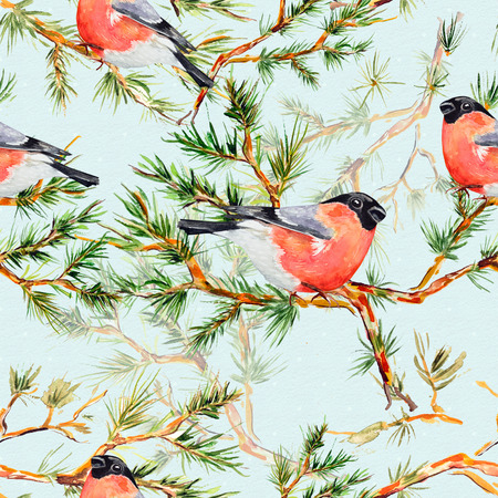 seamless texture with pine branch and bird watercolorの写真素材