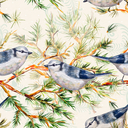 seamless texture with cute birds on pine branch watercolorの写真素材