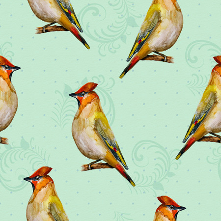 retro seamless texture with cute birds watercolorの写真素材