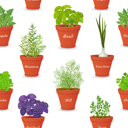 seamless texture with herbs planted in pots for your designのイラスト素材