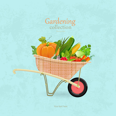 vintage garden wheelbarrow with vegetables for your designのイラスト素材