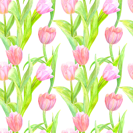 seamless texture with elegant tulips for your design. watercolor paintingの写真素材