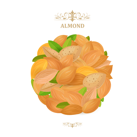 banner with pile of fresh almonds on white background for your designのイラスト素材