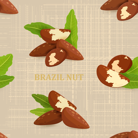 vintage seamless texture with groups of brazil nuts for your designのイラスト素材