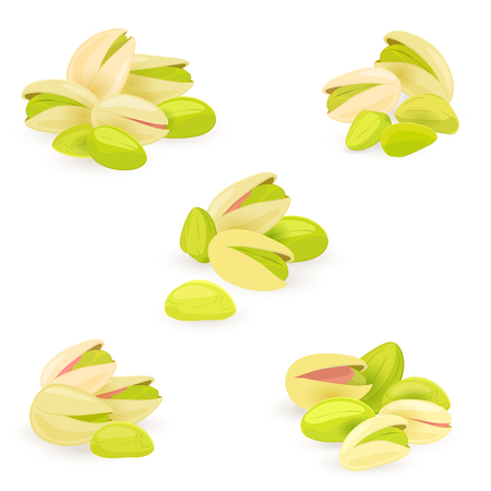 collection groups of pistachios for your designのイラスト素材