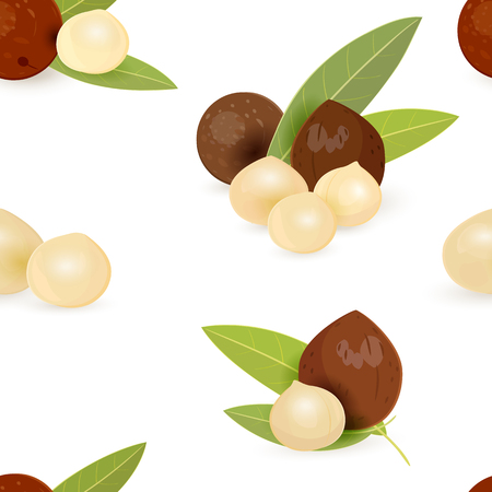 Seamless texture with groups of macadamia with leavesのイラスト素材
