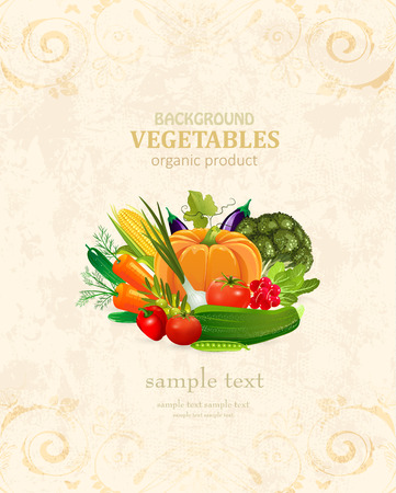 vintage banner with fresh vegetables on background of grange paper for your designのイラスト素材