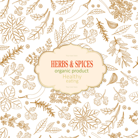 vintage card with herbs and spices for your designのイラスト素材