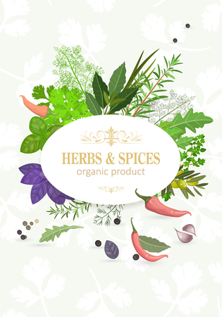 organic card with fresh herbs and spices for your designのイラスト素材