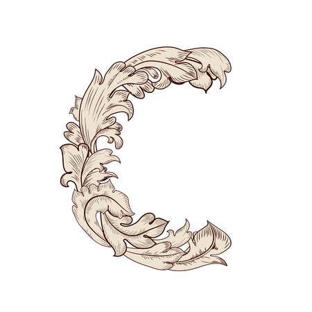 Fancy foliage uppercase letter Cのイラスト素材