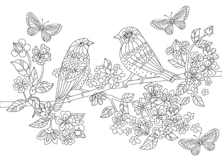 Lovely birds on branch of flowering cherry for your coloring bookのイラスト素材