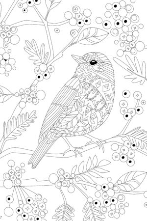 Pretty bird on branch of rowan for your coloring bookのイラスト素材