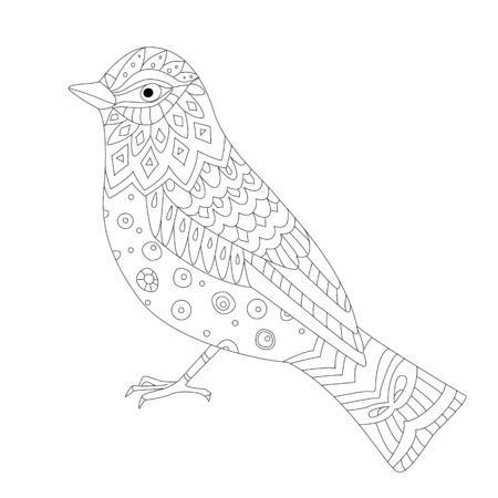Pretty bird for your coloring pageのイラスト素材