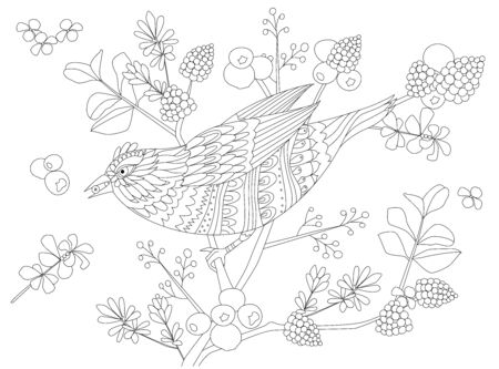 Bird with berry in beak sitting on branch of fancy fruit tree for your coloring bookのイラスト素材