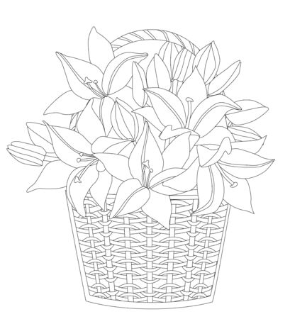 Wicker basket with bunch fresh liliesのイラスト素材