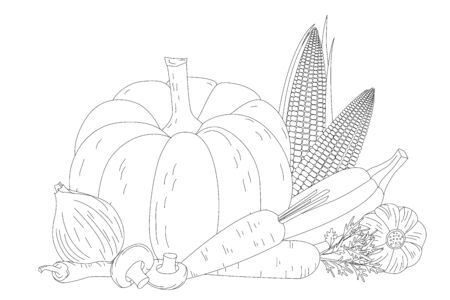 outlined group of fresh vegetables. pumpkin, onion, garlic, corn, mushrooms, carrot and squash for your coloring bookのイラスト素材
