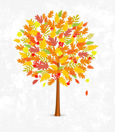 Decorative autumn tree round shape with colorful leaves against white grunge paper background for your designのイラスト素材