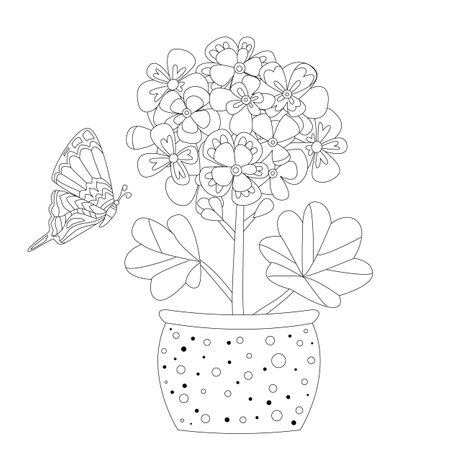 pelargonium flower in decorative flowerpot with polka dot ornament for your coloring bookのイラスト素材