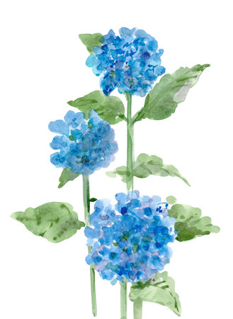 quick simple sketch of blue flowers. watercolor paintingの写真素材
