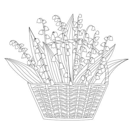 bunch of lily of the valley in wicker basket for your coloring bookのイラスト素材