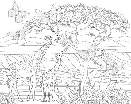 Mother giraffe with her kid eating leaves of acacia tree surrounded by flying butterflies. Africa landscape for your coloring bookのイラスト素材
