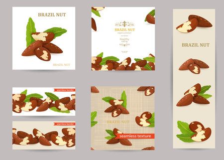 collection of banners with fresh nuts. heap of brazil nut with leaves on white background. card with frame of brazilian kernel. set of seamless borders and texture with brasil seeds. pile of ripe foodのイラスト素材
