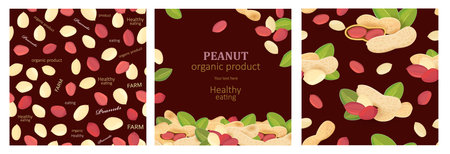 set of seamless texture with groundnuts on white background. banner with pile of pea nut and leaves on brown background. Package design elementのイラスト素材