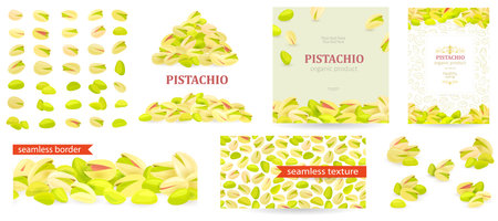 collection of kernel in open shell and peeled seed of pistachios. pile of pistachio. set of nutty banners. seamless border and texture with pistache on white background. card with frame of pistaciaのイラスト素材