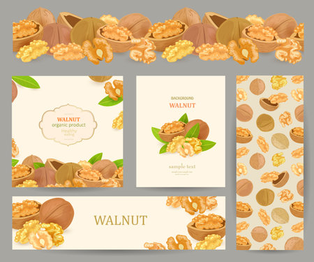 collection of package design element with walnuts. nutty seamless border with whole unpeeled nut and open half shell with kernel inside. set of banners with heap of nuts and leaves. walnut backgroundのイラスト素材