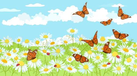 summer rural landscapeのイラスト素材