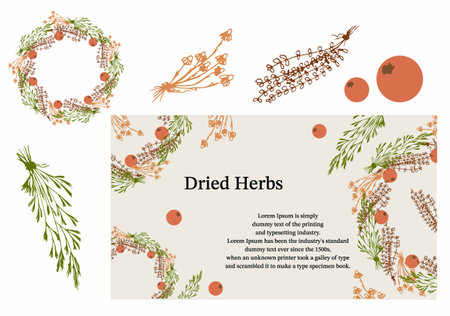 Dried herbs frame for the decoration of medical articles and websites, cover or pattern. Border with dried flowersのイラスト素材