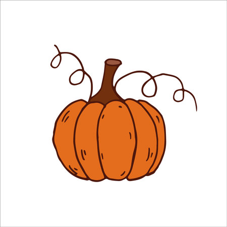 Pumpkin isolated. Autumn harvest, thanksgiving, halloween. Orange, brown. vector illustration. Elements for wall art, coloring, printing, design illustrations in the style of outline, line art.のイラスト素材