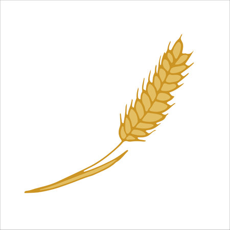 Ear of wheat. Icon, sticker, design element. vector illustration. Elements for cover, web, printing, design illustrations in the style of outlineのイラスト素材