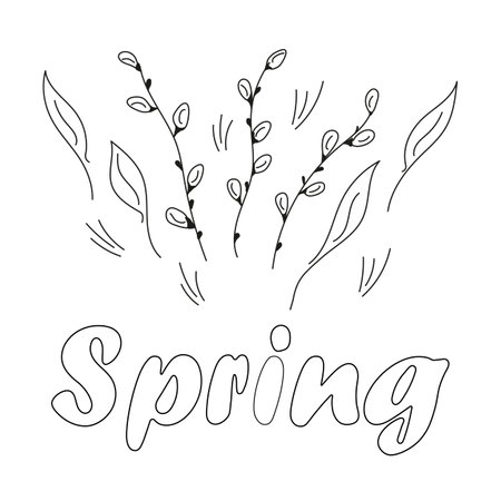Willow buds coloring page. Pussy willow Doodle Black and white vector illustration. Design for coloring, banners, cover, books, brochures, fabric, papers, notebook, card, fabric, .のイラスト素材