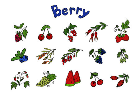 set berries. vector illustration. Icon in doodle style. Handwritten blue lettering. Simple illustration for sticker pack, cover, postcards, print, social media, icon, scrapbooking.のイラスト素材