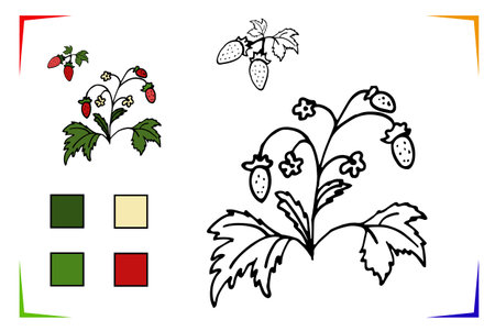 Strawberry Coloring Page. Vector Educational worksheet colored by sample. Paint game preschool kids. Elements for coloring book, page, printing, design illustrations in the style of outline for kidsのイラスト素材