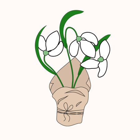Snowdrops in paper packaging tied with a string. Delicate vector flowers for design. isolated object. Design elements for illustration, cover, postcards, print, scrapbooking, poster, social media post.のイラスト素材