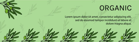 Green organic banner with olives. Templates drawing natural pattern. Leaves, olive branch, green color. Graphic Design frame for banner, landing page, web, cover, poster, flyer, graphic rectangle.のイラスト素材