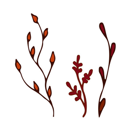 Doodle autumn colors twig branches element. Twig plant, herb. Vector illustration orange and red. Hand drawn branches on white background. Design element for natural and organic designs.のイラスト素材