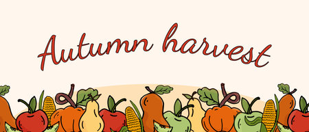 Autumn harvest horizontal banner. Vector fruits, apples, pears, pumpkins, corn. Thanksgiving theme. Festive background Art template. Elements for web, cover, landing page, poster, header for website.のイラスト素材