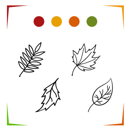 Coloring book for children autumn leaves doodle style. Vector Leaves of aspen, birch, maple, rowan. Elements for coloring book, page, printing, design illustrations in the style of outline for kids.のイラスト素材