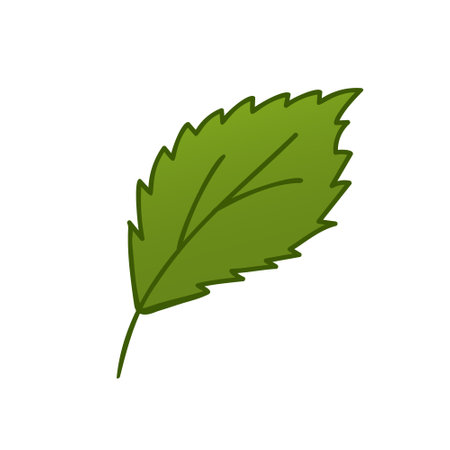Isolated Birch Leaf icon. Vector illustration in doodle style. Leaf theme of autumn, botany, nature, ecology and planet plants. Hand drawn Design for natural and organic designs, icon, web elements.のイラスト素材