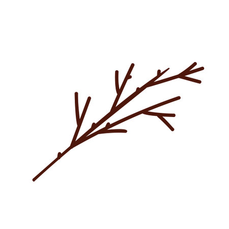 Doodle single twig branch element. Dry shrub, bush twig. Vector illustration. Outline hand drawn sketch on white background. Design element for natural and organic designs.のイラスト素材